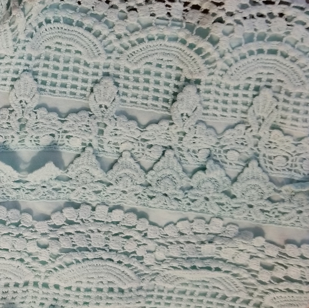 Lace Shorts - Picture 2 of 2